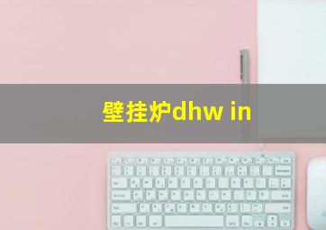 壁挂炉dhw in